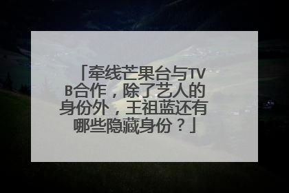 牵线芒果台与TVB合作，除了艺人的身份外，王祖蓝还有哪些隐藏身份？