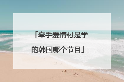 牵手爱情村是学的韩国哪个节目