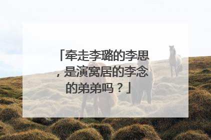 牵走李璐的李思，是演窝居的李念的弟弟吗？