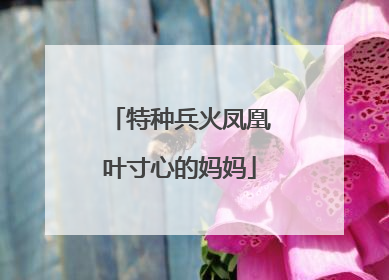 特种兵火凤凰叶寸心的妈妈