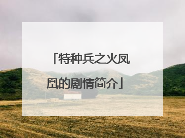 特种兵之火凤凰的剧情简介