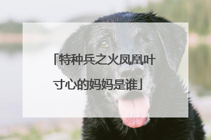 特种兵之火凤凰叶寸心的妈妈是谁
