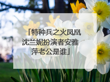 特种兵之火凤凰沈兰妮扮演者安雅萍老公是谁