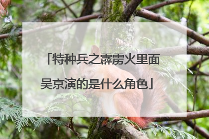 特种兵之霹雳火里面吴京演的是什么角色