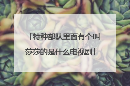 特种部队里面有个叫莎莎的是什么电视剧