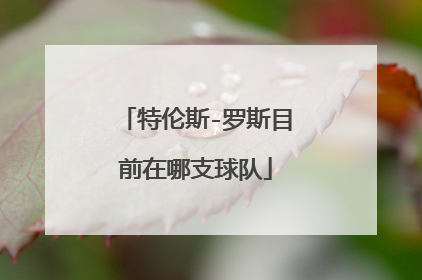 特伦斯-罗斯目前在哪支球队