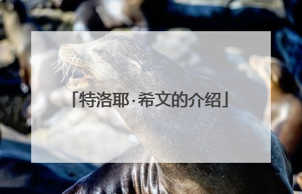 特洛耶·希文的介绍