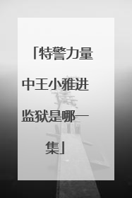 特警力量中王小雅进监狱是哪一集