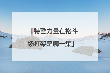 特警力量在格斗场打架是哪一集