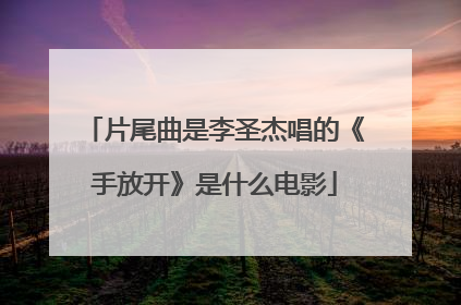 片尾曲是李圣杰唱的《手放开》是什么电影