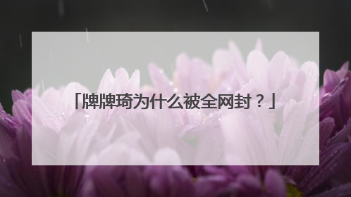 牌牌琦为什么被全网封？