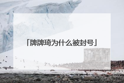 牌牌琦为什么被封号