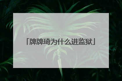 牌牌琦为什么进监狱