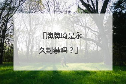 牌牌琦是永久封禁吗?