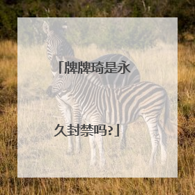 牌牌琦是永久封禁吗?