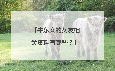 牛东文的女友相关资料有哪些？