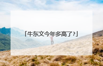 牛东文今年多高了?