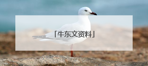 牛东文资料