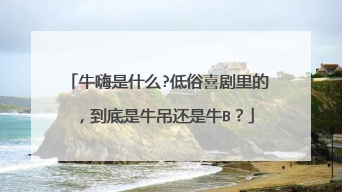 牛嗨是什么?低俗喜剧里的，到底是牛吊还是牛B？