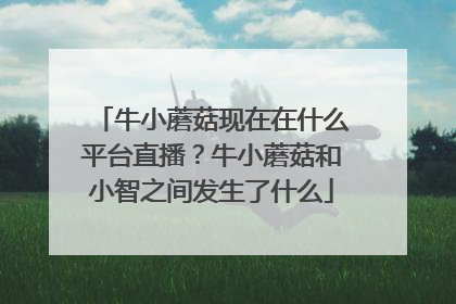 牛小蘑菇现在在什么平台直播？牛小蘑菇和小智之间发生了什么