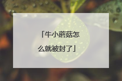 牛小蘑菇怎么就被封了