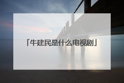 牛建民是什么电视剧
