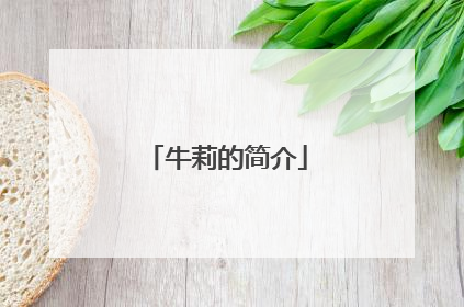 牛莉的简介