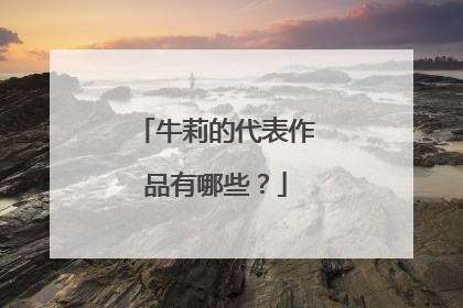 牛莉的代表作品有哪些？