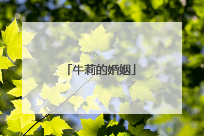 牛莉的婚姻