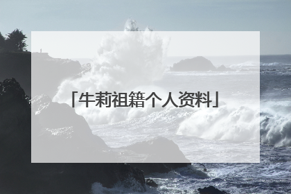 牛莉祖籍个人资料