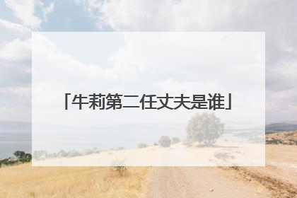 牛莉第二任丈夫是谁