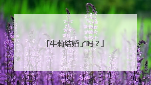 牛莉结婚了吗？