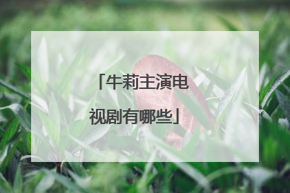 牛莉主演电视剧有哪些