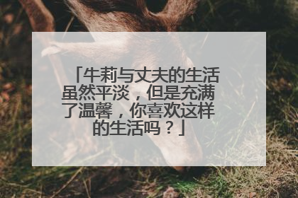牛莉与丈夫的生活虽然平淡，但是充满了温馨，你喜欢这样的生活吗？