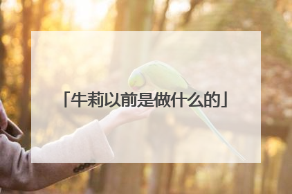 牛莉以前是做什么的