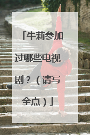 牛莉参加过哪些电视剧?(请写全点)