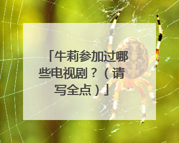 牛莉参加过哪些电视剧？（请写全点）