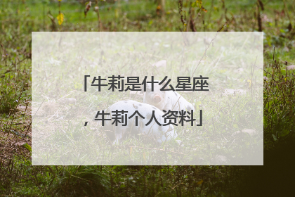 牛莉是什么星座,牛莉个人资料