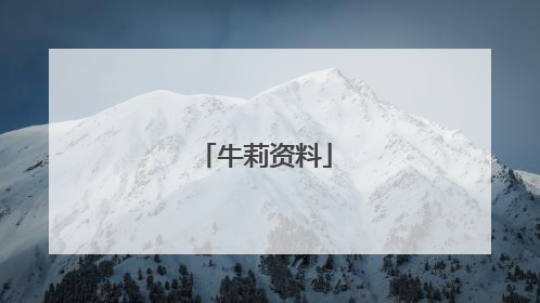 牛莉资料