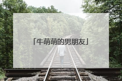 牛萌萌的男朋友