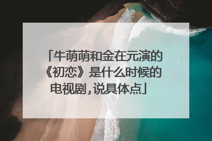 牛萌萌和金在元演的《初恋》是什么时候的电视剧,说具体点