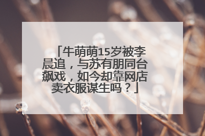 牛萌萌15岁被李晨追，与苏有朋同台飙戏，如今却靠网店卖衣服谋生吗？