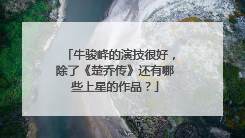 牛骏峰的演技很好,除了《楚乔传》还有哪些上星的作品?