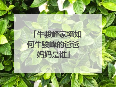 牛骏峰家境如何牛骏峰的爸爸妈妈是谁