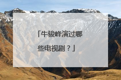 牛骏峰演过哪些电视剧？