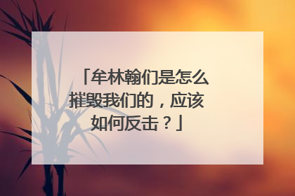牟林翰们是怎么摧毁我们的,应该如何反击?