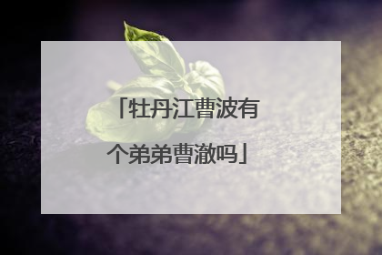 牡丹江曹波有个弟弟曹澈吗