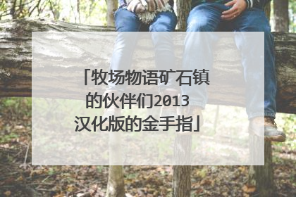 牧场物语矿石镇的伙伴们2013汉化版的金手指