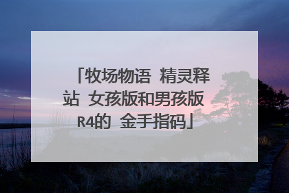 牧场物语 精灵释站 女孩版和男孩版R4的 金手指码
