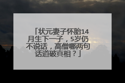 状元妻子怀胎14月生下一子，5岁仍不说话，高僧哪两句话道破真相？